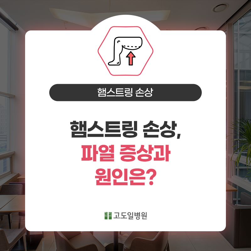 고도일병원 공식블로그