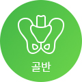 골반 아이콘